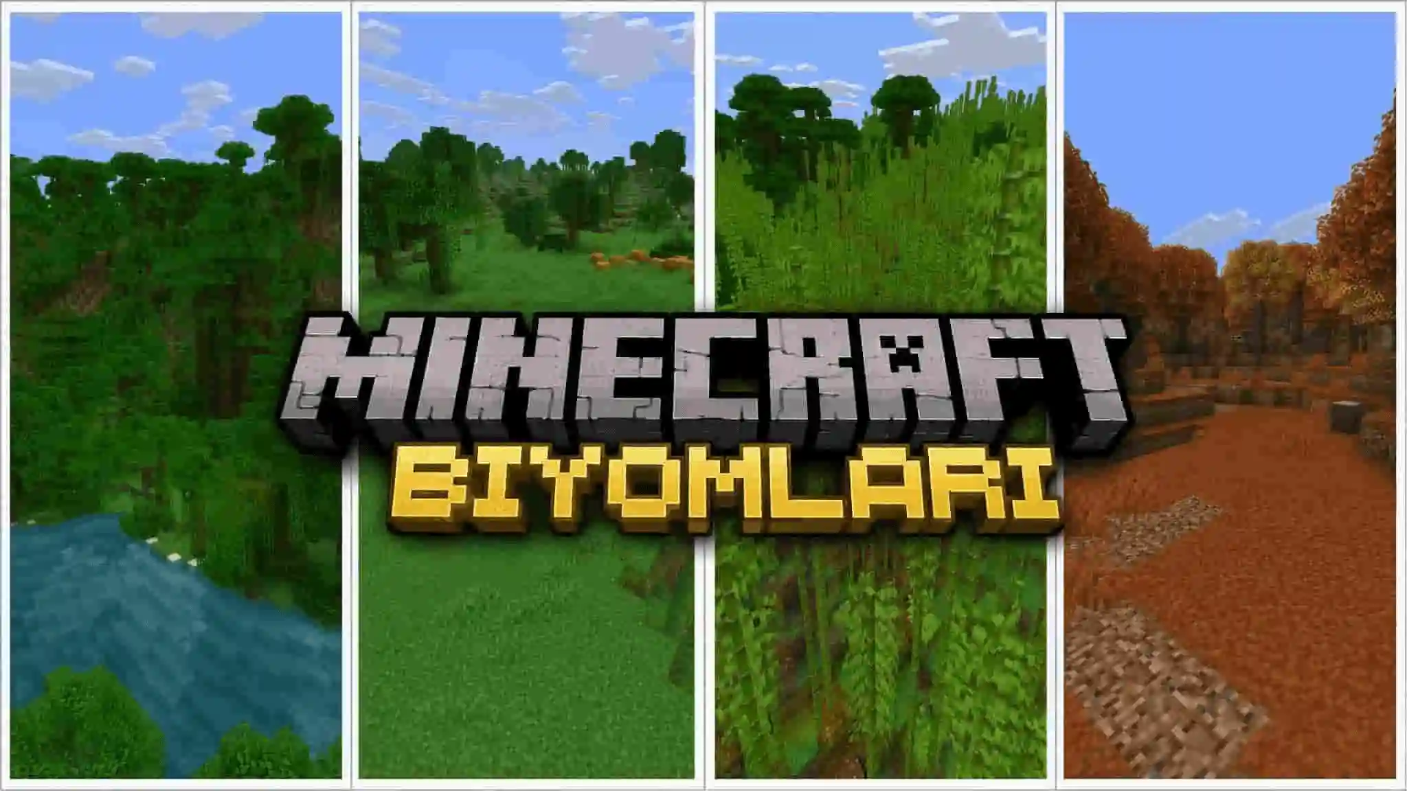 Minecraft Biyomlar