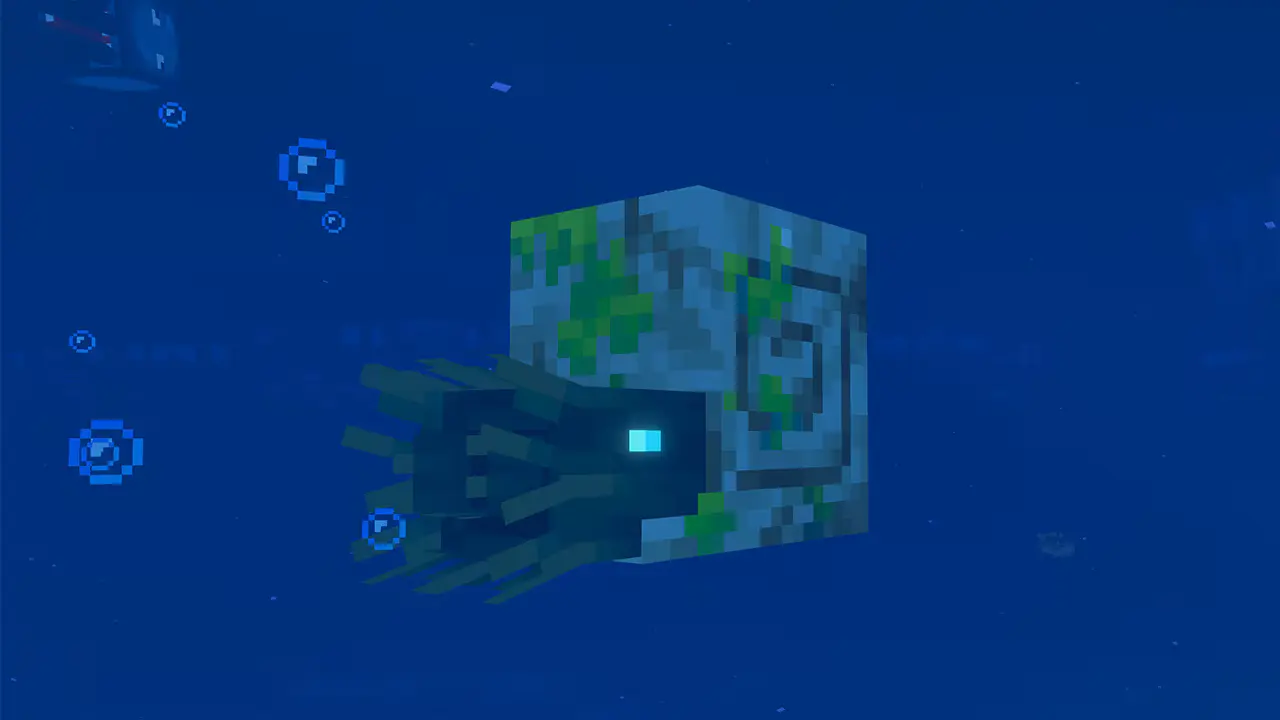 Zombi Nautilus